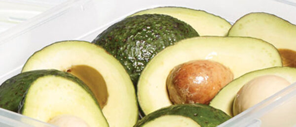avocado-bewaren